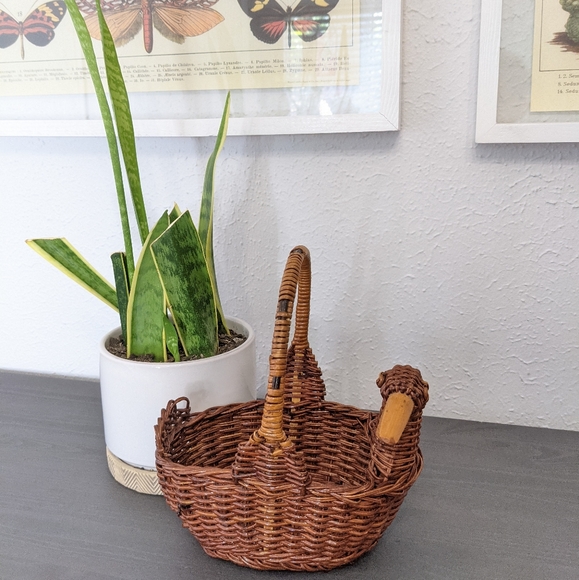 Vintage duck basket woven home decor plant pot